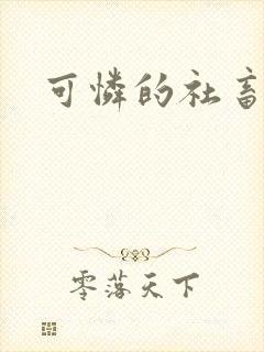 可怜的社畜分手