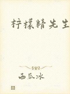 柠檬精先生封面