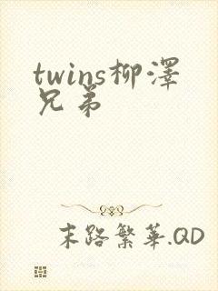 twins柳泽兄弟