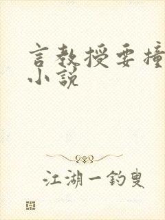 言教授要撞坏了小说