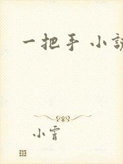 一把手 小说