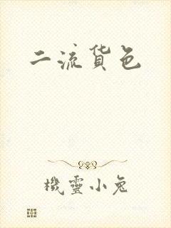 二流货色封面