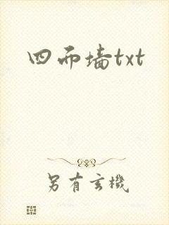 四面墙txt封面