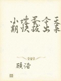 小坏蛋今天危险期快拔出来