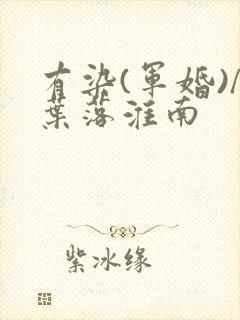 有染(军婚)/叶落淮南