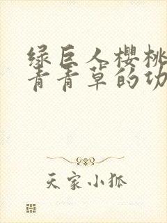 绿巨人樱桃荔枝青青草的功效