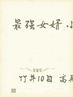 最强女婿 小说封面