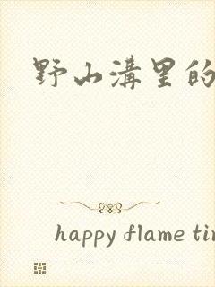 野山沟里的村庄封面