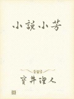 小说小芳