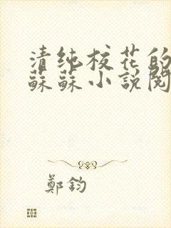 清纯校花的日常苏苏小说阅读全文