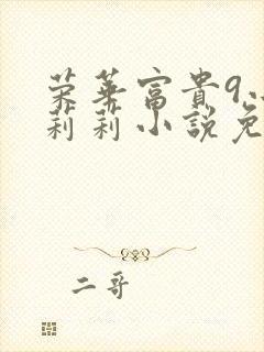 荣华富贵9小王莉莉小说免费阅读封面