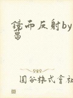 镜面反射by九葛封面