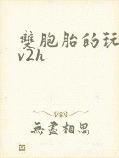 双胞胎的玩具1v2h