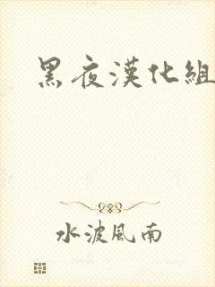 黑夜汉化组