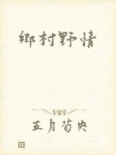 乡村野情封面
