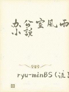 办公室风雨完整小说