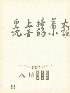 皇上撞着太子妃沈音的小说叫什么