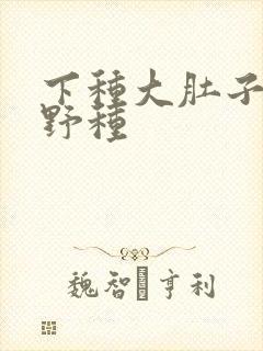 下种大肚子怀孕野种封面