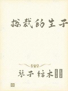 总裁的生子情人