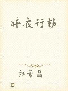暗夜行动