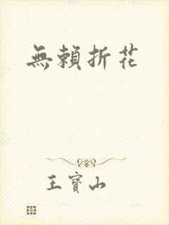 无赖折花封面