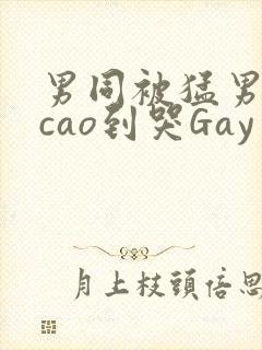 男同被猛男房东cao到哭Gay