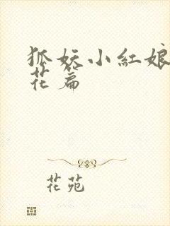 狐妖小红娘两生花篇封面