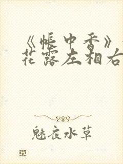 《帐中香》金银花露左相右相