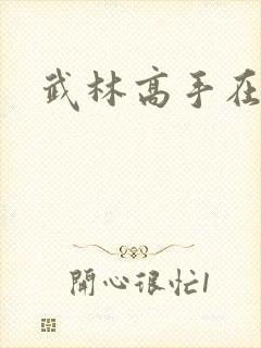 武林高手在异界