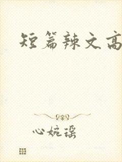 短篇辣文高h
