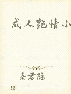 成人艳情小说封面