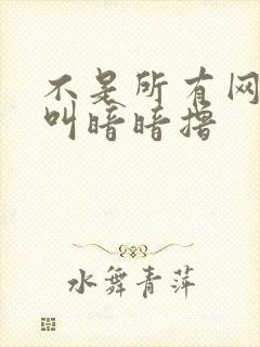 不是所有网站都叫暗暗撸