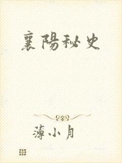 襄阳秘史
