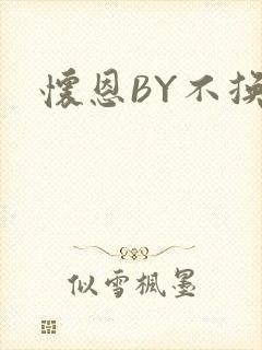 怀恩BY不换