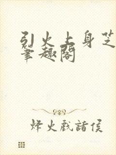 引火上身芝麻糖笔趣阁