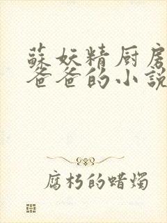 苏妖精厨房爹爹爸爸的小说封面