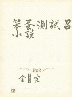 笨蛋测试召唤兽小说