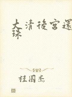 大清后宫还君明珠