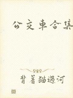公交车合集