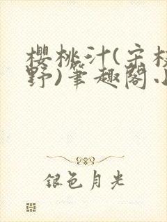 樱桃汁(宋枝江野)笔趣阁小说封面