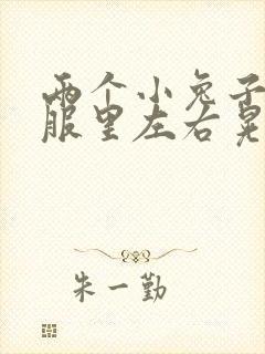 两个小兔子在衣服里左右晃