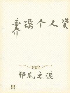 童瑶个人资料简介