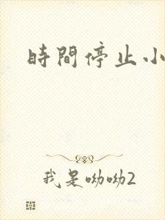 时间停止小说