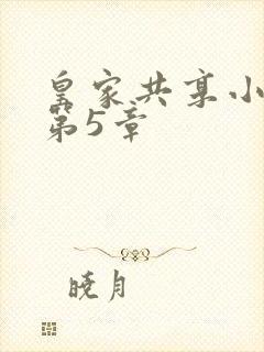 皇家共享小公主第5章