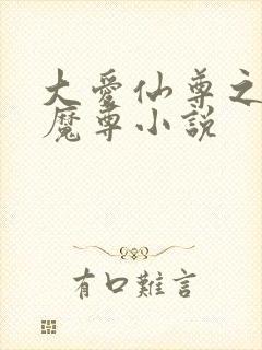 大爱仙尊之邪淫魔尊小说封面