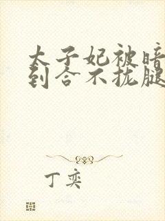 太子妃被暗卫C到合不拢腿