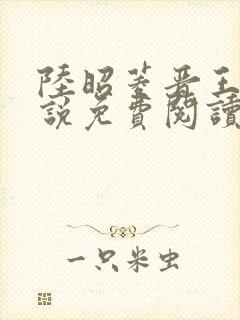 陆昭菱晋王的小说免费阅读封面