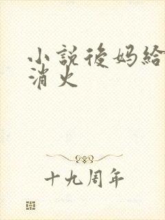 小说后妈给我消消火