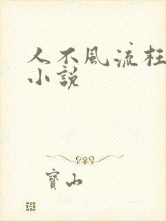 人不风流枉少年小说封面