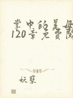 掌中的美母版主120章免费阅读封面